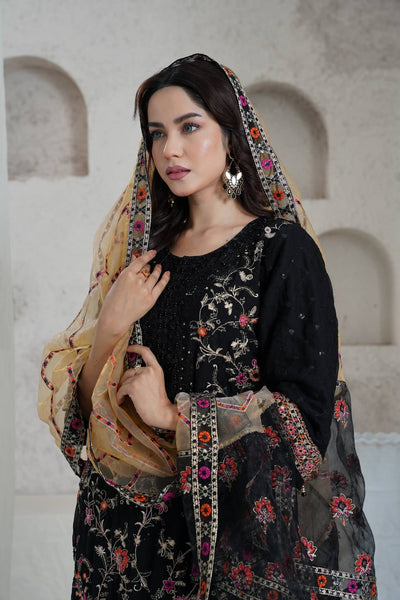 Pakistani Collection